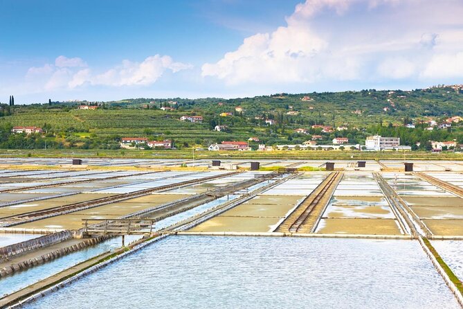 Discover the Secrets of Koper and Coastal Towns on a Private Full-Day Tour - Good To Know