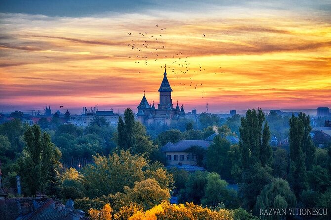 Discover Timisoara by Bicycle - Good To Know