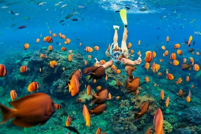 Discovering the Depths: Scuba Diving Tour From Antalya
