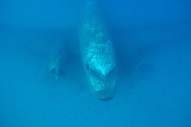 3 Best Scuba Diving Experiences In Kas