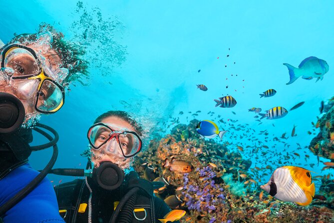 Diving Experience in Polignano a Mare With Certification - Good To Know
