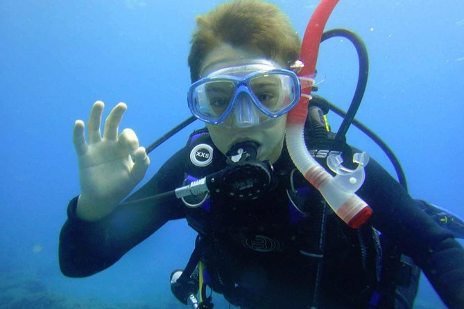 Diving for Beginners by Boat From Puerto Colon - Good To Know