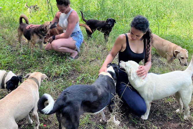 Dog Lovers Guided Tour of the Happy Tails Sanctuary
