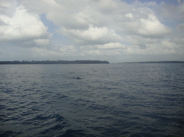 Dolphin and Snorkeling Full-Day Tour From Diani Beach, Mombasa - Good To Know