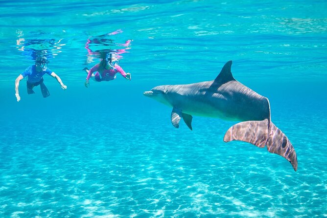 Dolphin House Sea Trip - HURGHADA VIP - Good To Know