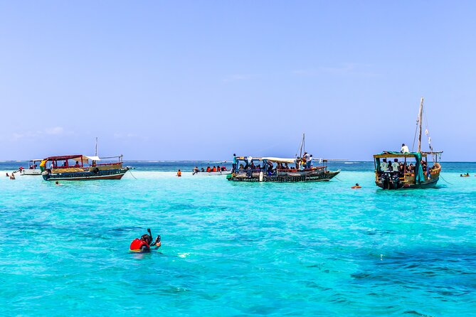 Dolphin Watch & Snorkeling at Kisite Marine Park & Wasini Island - Good To Know
