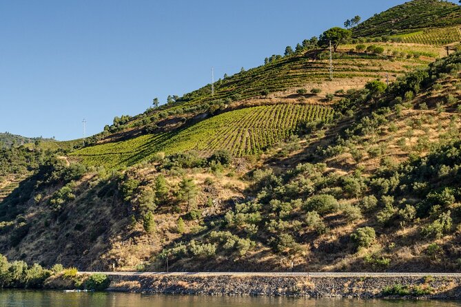 Douro Valley Private Tour With Wine Tastings From 2 Wineries - Inclusions
