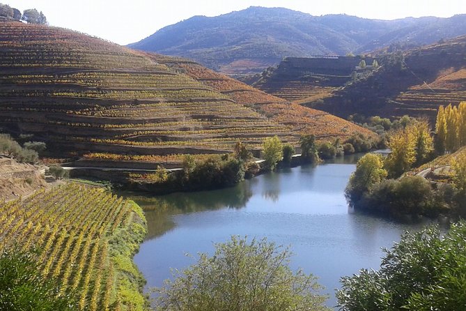 Douro Valley - Régua-Pinhão - With Wine Tasting - Good To Know