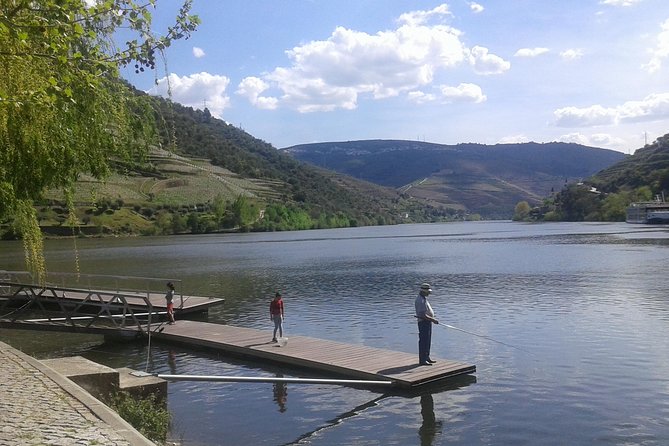 Douro Valley - Régua - With Local Wine and Food Tasting - Tour Highlights