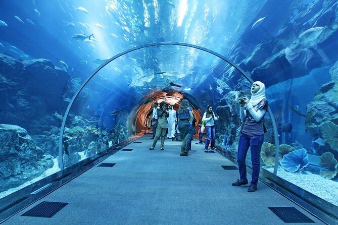 Dubai Aquarium & Under Water Zoo With Penguin Cove Option