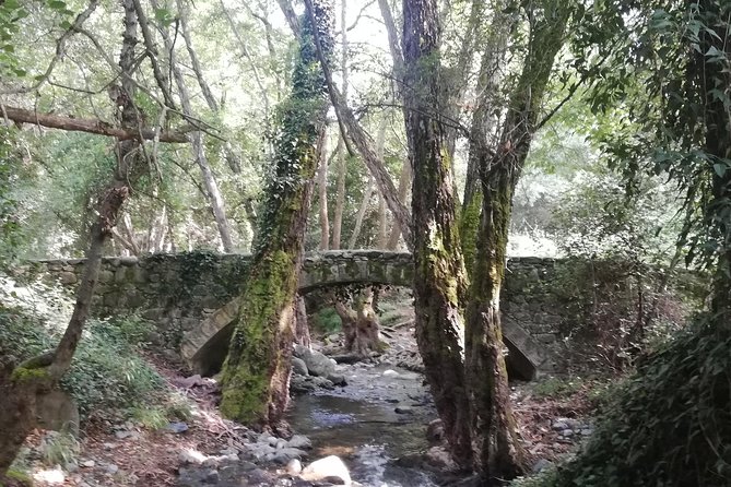 E-Bike Tour From Omodos to Milomeris Waterfall-Milia Bridge Through Platres.