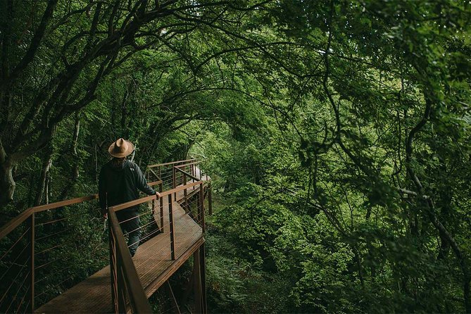 Eco Tour - Okatse Canyon - Tour Details