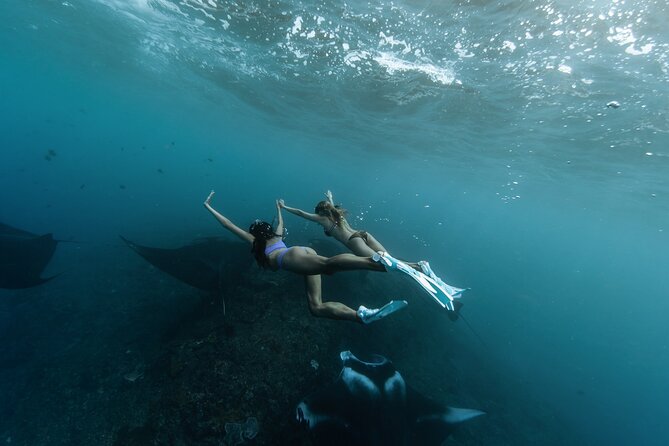 ️Nusa Penida by Private Boat - Snorkeling 4 Spots, Swim With Mantas + Land Tour - Good To Know