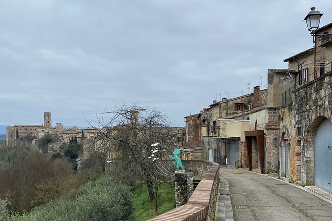 Electric Bike Experience Around Colle Di Val D'Elsa- Private Tour - Good To Know