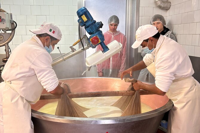 Emilia Flavors: Parmigiano & Parma Ham Discovery Tour - Tour Overview