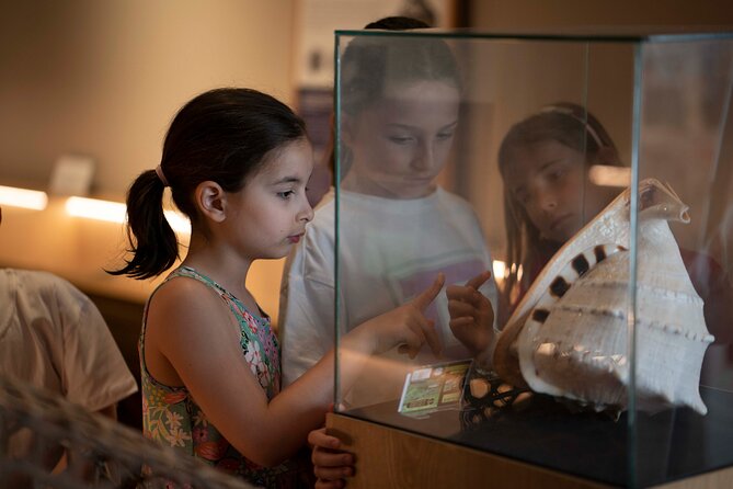 Entrance Ticket to World of Seashells Museum - Ticket Inclusions