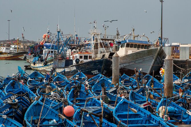 Essaouira Day Trip From Marrakech - Itinerary Details