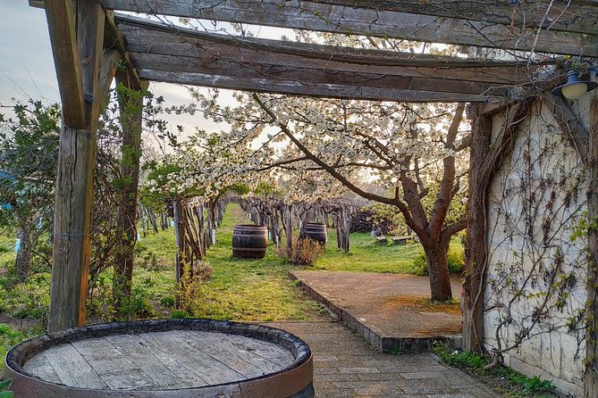 ETYEK Wine Trip - Just a Stone'S Throw Away From Budapest - Good To Know