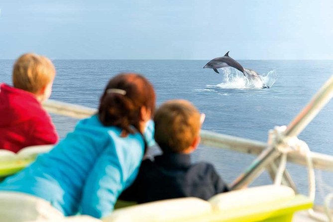 Experience a Sunrise With Dolphins - Good To Know