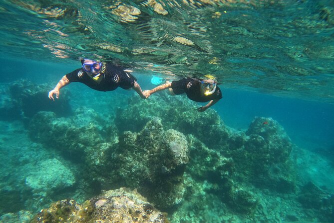 Experience Snorkelling in Puerto Del Carmen, Lanzarote - Location and Meeting Point