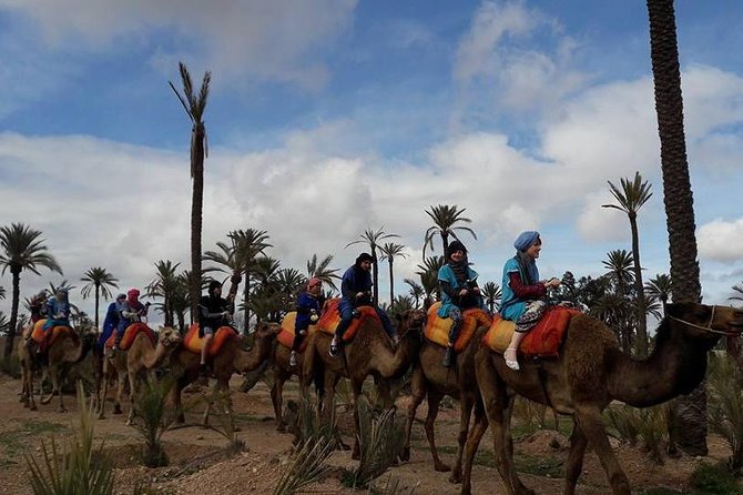 Experience Spa Hammam Massage and Camel Tour - Good To Know