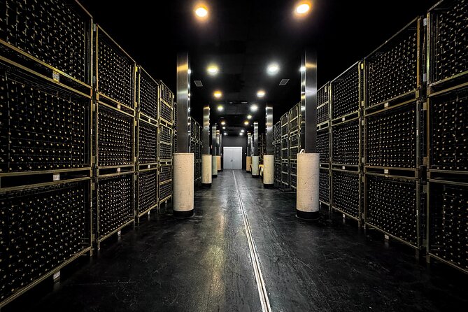 Experience Winery Group Tour of Alicante Province - Good To Know