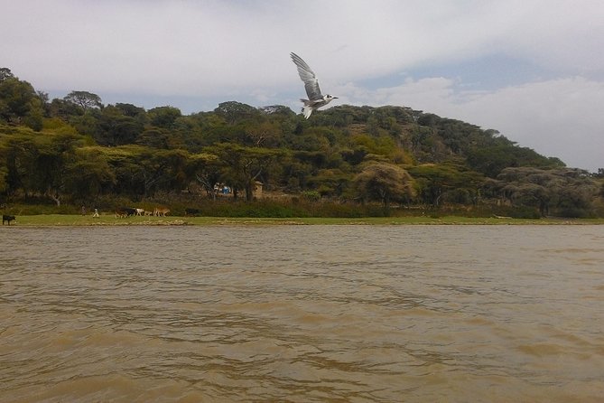 Explore the Ethiopian Rift Valley Lakes and the UNESCO Site of Steles of Tiya - Good To Know