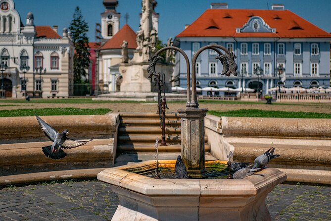 Explore TimișOara in 60 Minutes With a Local