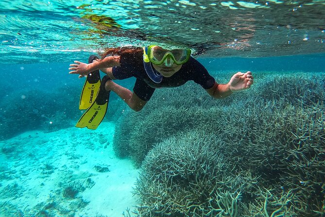 Exploring the Magnificent East of Mauritius: Full-Day Incl Blue Bay Marine Park - Good To Know