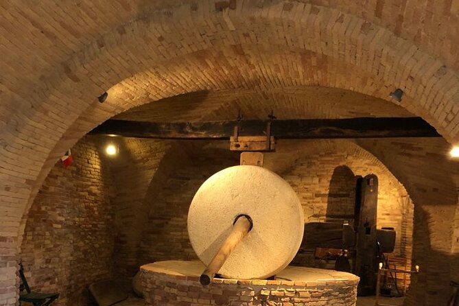 Extra Virgin Olive Oil Walking Tour With Lunch in the Museum - Tour Highlights