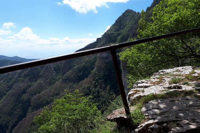 Faito Trek Tour, Cable Car Excursion and Scenic Trails - Good To Know