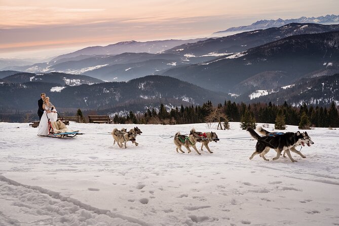 Feel the Magic of Winter With Thrilling Arctic Dog Sled Rides - Good To Know