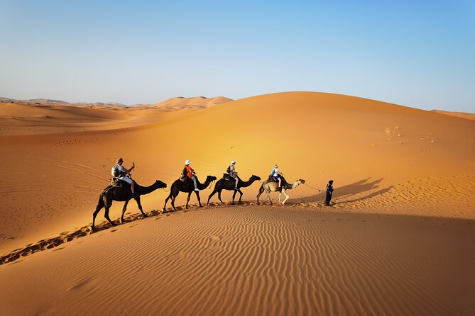 Fez to Merzouga Desert Trip Camel Ride and Night Camp - Good To Know