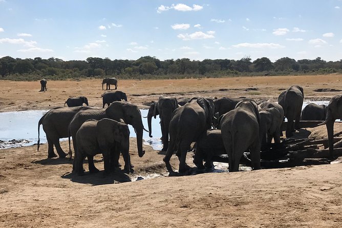 Five-Day Hwange NP, Chobe NP and Victoria Falls Combo