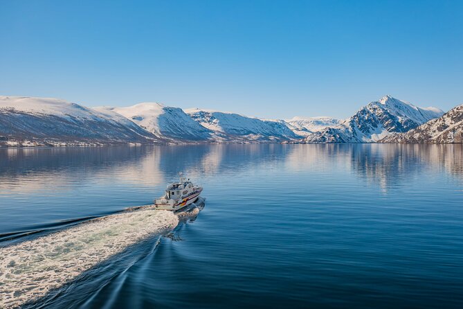 Fjord Safari in the Altafjord - Experience the Fjord Safari Excursion