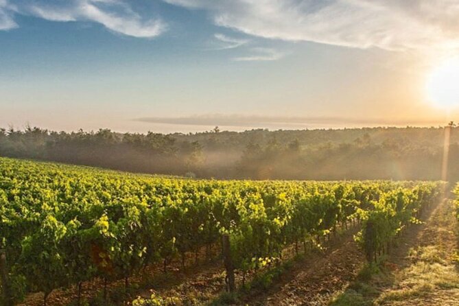 Florence and Boutique Winery Private Tour From Livorno Port - Good To Know