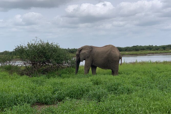 Flying Safari From Zanzibar - Good To Know