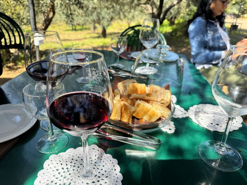 Frascati: Wine Tasting Tour With Lunch and Vineyard Visit