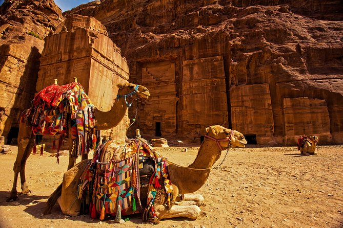 From Aqaba a Day Excursion to Petra