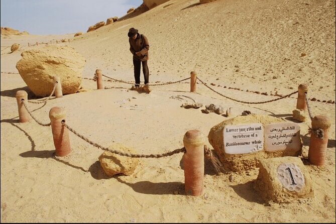 From Cairo to Whales Valley and Wadi El Rayan Waterfalls - Discovering the Magical Lake