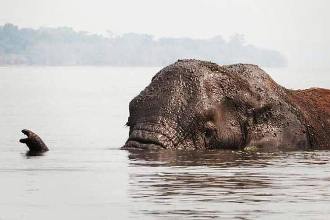From Kigali: 2 Days Akagera National Park Wildlife Safari - Good To Know