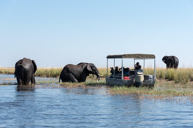 From Livingstone, Victoria Falls or Kasane – Chobe Day Tour