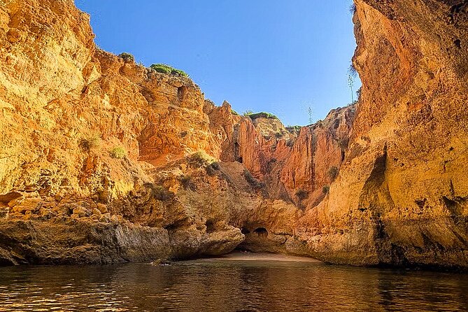From Portimão to Paradise 90 Minutes Sunrise Tour - Good To Know
