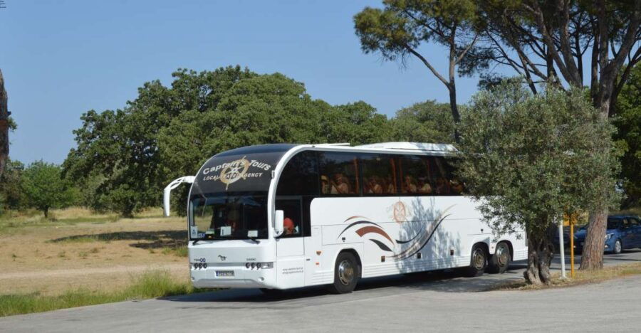 From Rhodes: Bus Tour to Lindos and the Seven Springs
