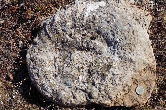 From Sofia: Walking Tour Over the Jurassic Sea - Good To Know