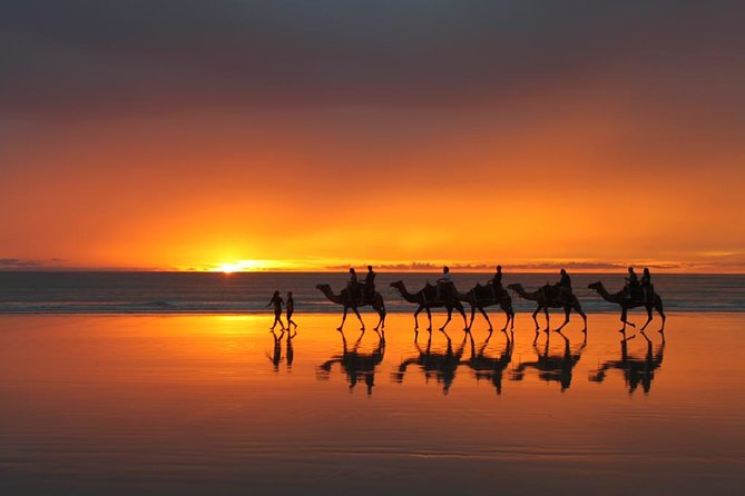 From Taghazoute : 2 Hours Agadir Camel Ride With Transfers and Tea Break - Good To Know