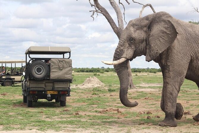 From Victoria Falls: a Full Day Chobe Safari With Lunch - Good To Know