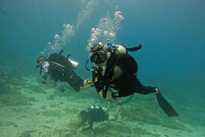Fujairah Scuba Diving for Certified Divers From Abu Dhabi - Good To Know