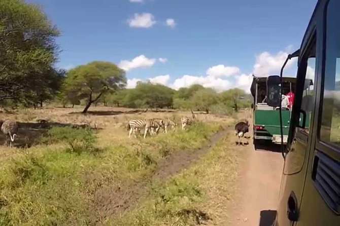 Full Day at Casela World of Adventures (Transport Only) - Good To Know