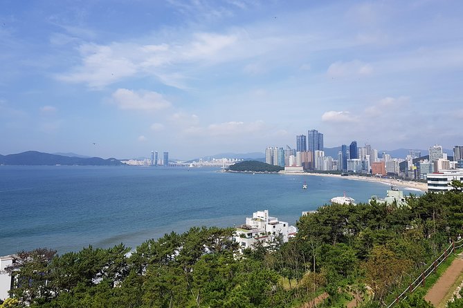 Full-Day Busan Tour Including Haedong Yonggungsa Temple - Good To Know